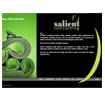 salient consulting