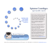 spintron.com.au
