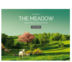 The Meadow